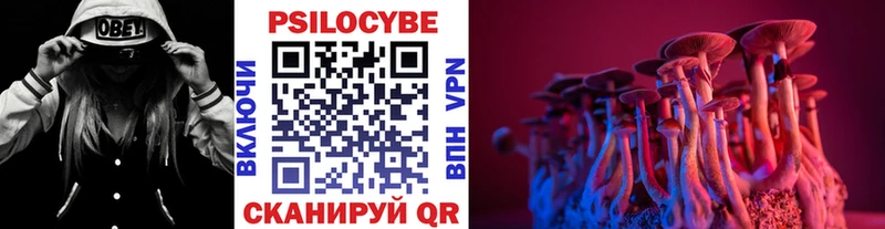 Псилоцибиновые грибы Psilocybine cubensis  Белоозёрский 